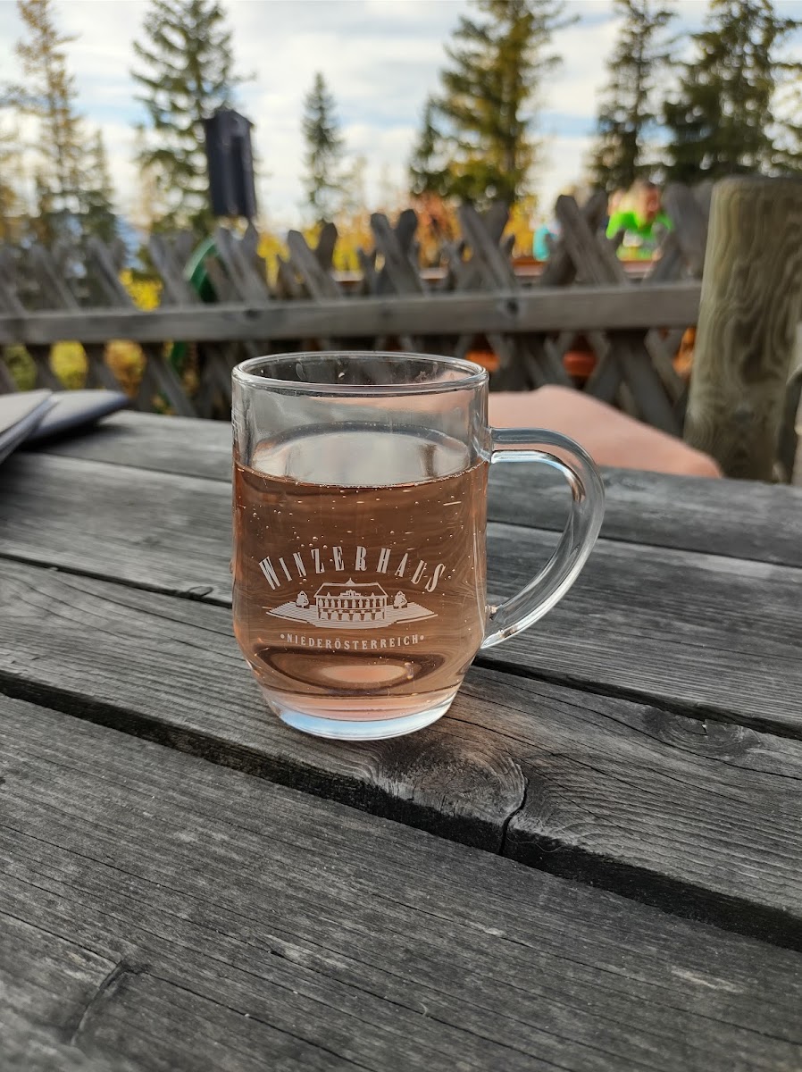 Gasthaus Edelweißhutte-5